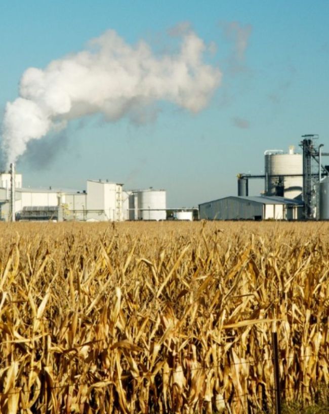 How Much Ethanol Can Be Produced From 1 Ton Of Sugarcane-1-2