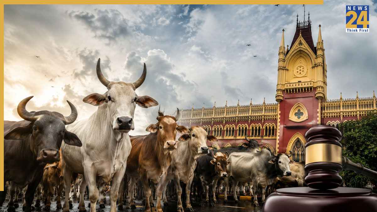 kolkata.jpg