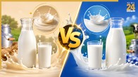 Full Cream Milk vs Toned Milk