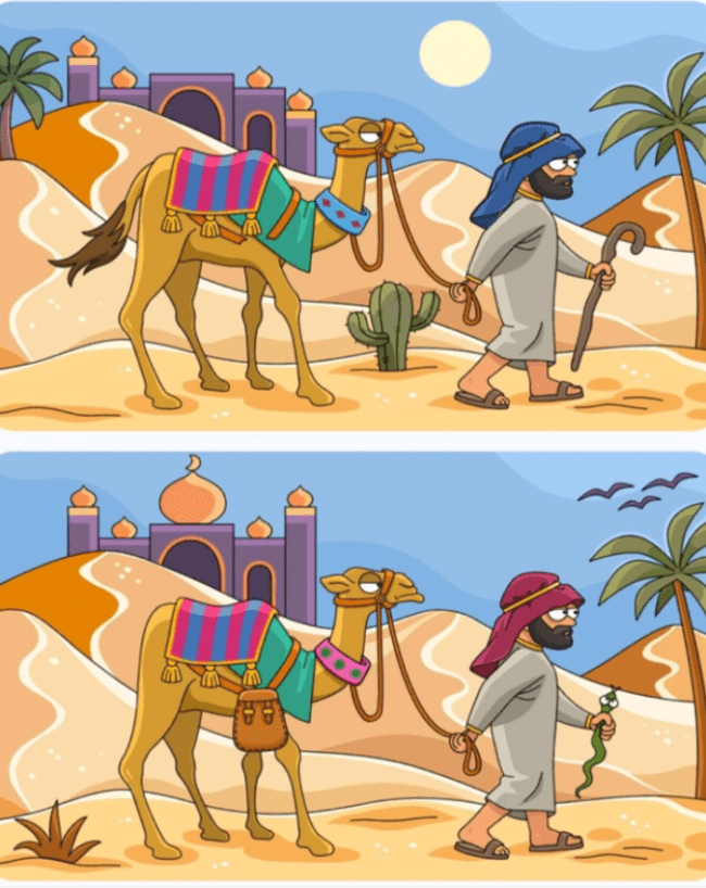 Find 5 difference -1-2-3