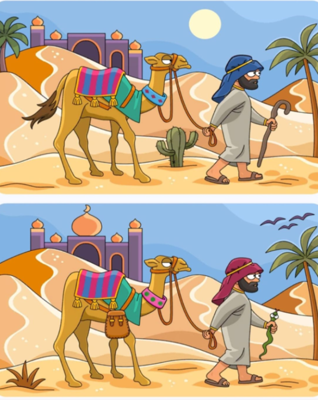 Find 5 difference -1-2