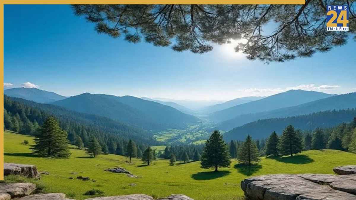 sonbhdra up