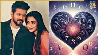 thalapathy vijay and trisha mulank connection