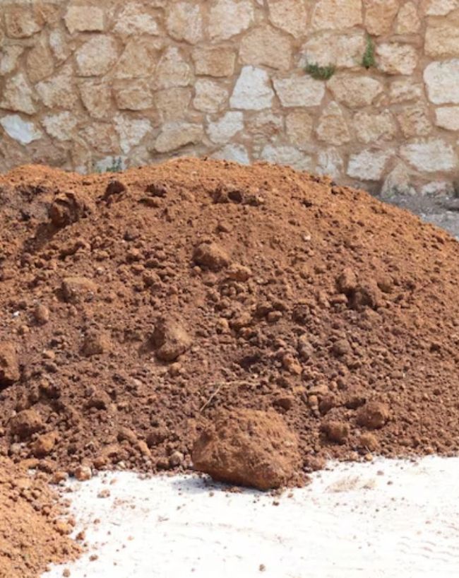 how to prevent plants dry during nautapa-1-2-3-4-5-6