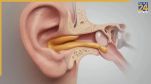 what is ear infection