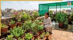 how to prevent plants dry during nautapa