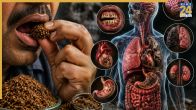 Side Effects of Chewing Tobacco