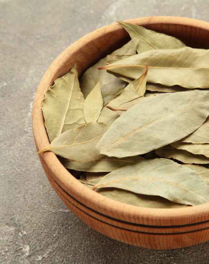 आखिर क्यों मोजे में तेज पत्ता रखकर सोते थे लोग?