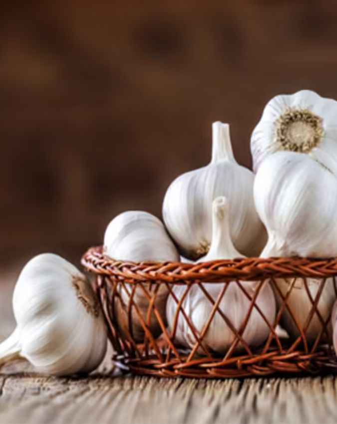 लहसुन भी आएगा काम 