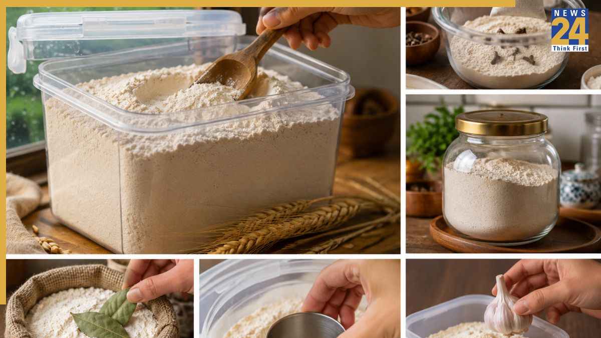 मानसून में आटे को कीड़ों से कैसे बचाएं? जानिए फ्रेश रखने के 5 तरीके