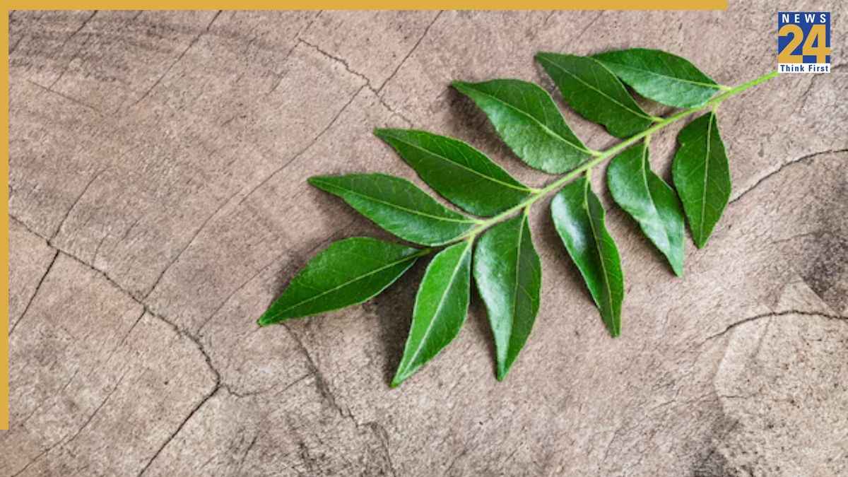 खाली पेट करी पत्ता खाने से क्या होता है? जानिए 5 मिलने वाले अद्भुत फायदे