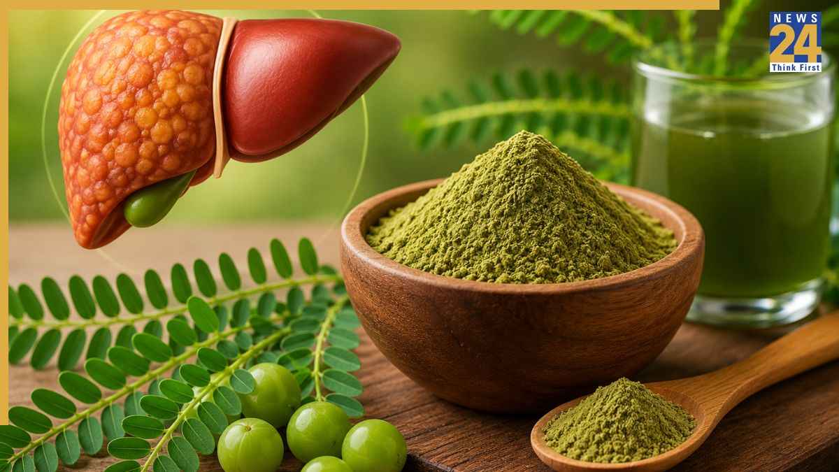 Fatty Liver में भुई आंवला खाने से क्या होगा? रोज 1 चम्मच खाने के आयुर्वेदिक सीक्रेट्स