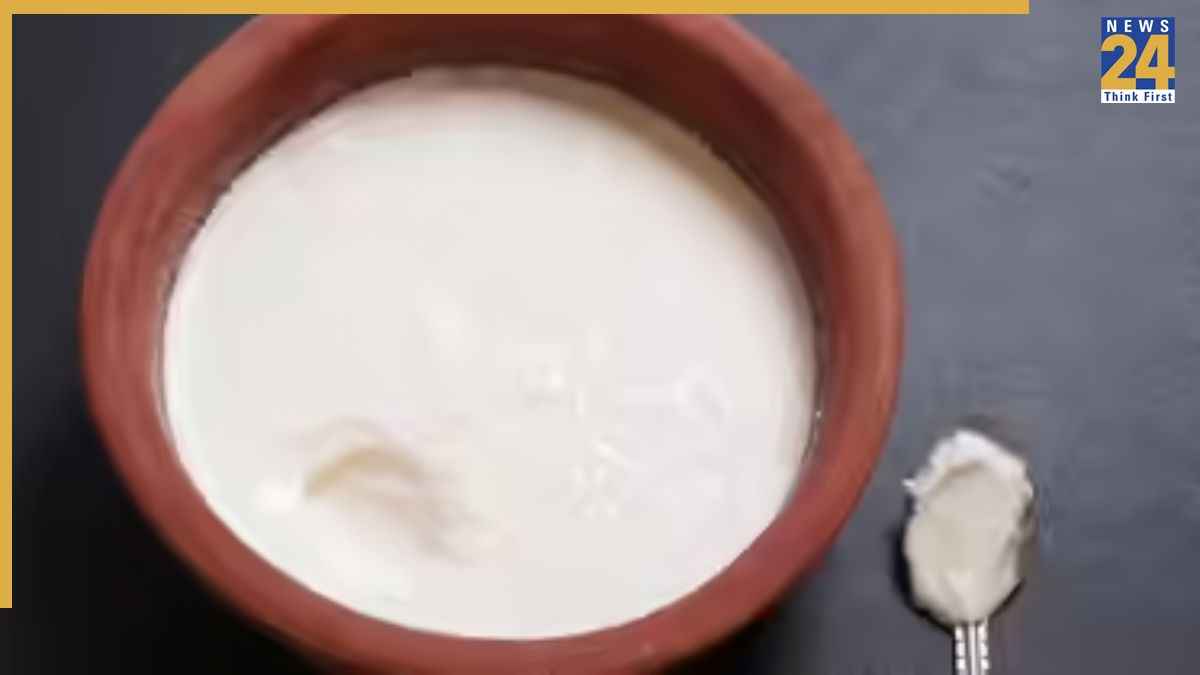 Curd Water Benefits: Curd Water Benefits: