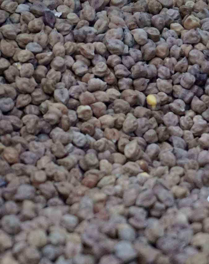 चना 