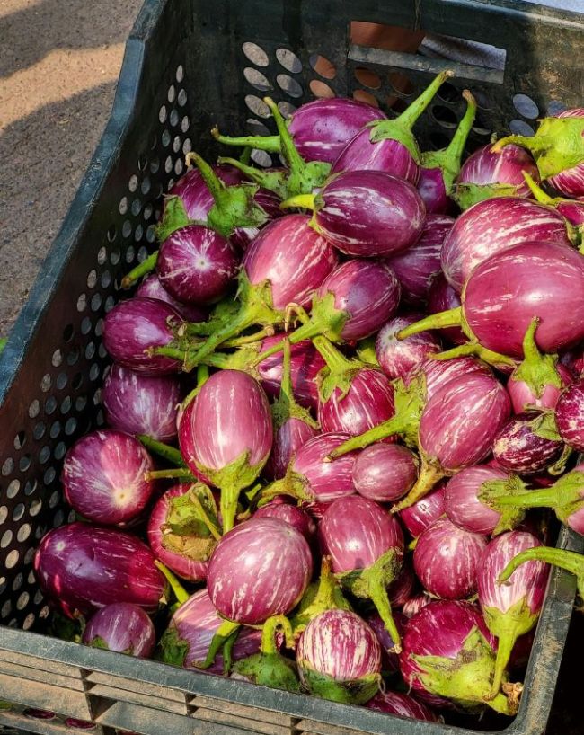 Vegetables You Should Never Eat Raw-1-2-3