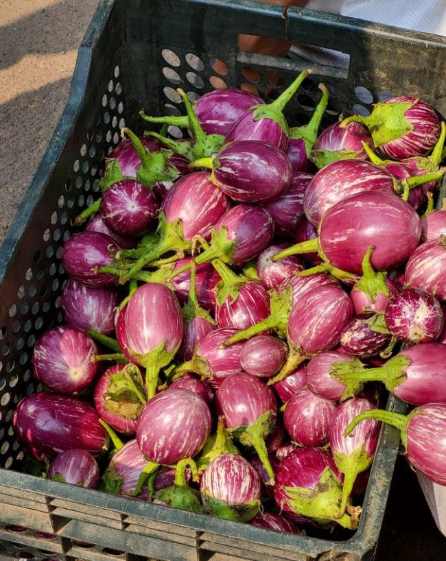 Vegetables you should not eat raw in india-1-2-3-4