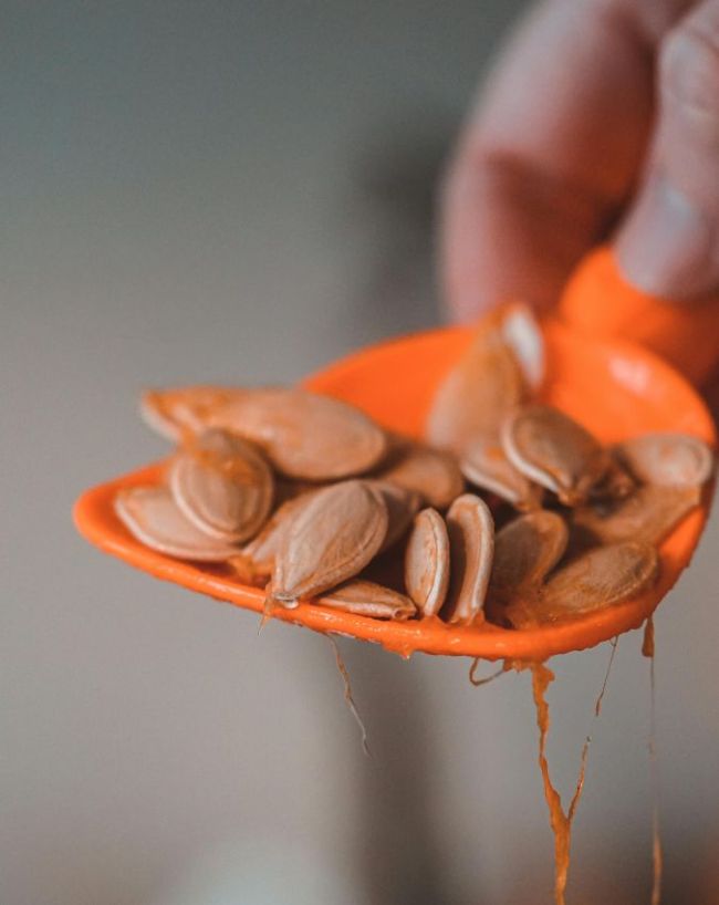 Pumpkin Seeds-1-2