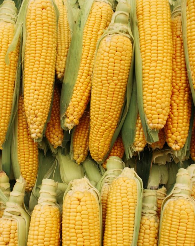 Diabetes diet Vegetables to avoid-1-2-3