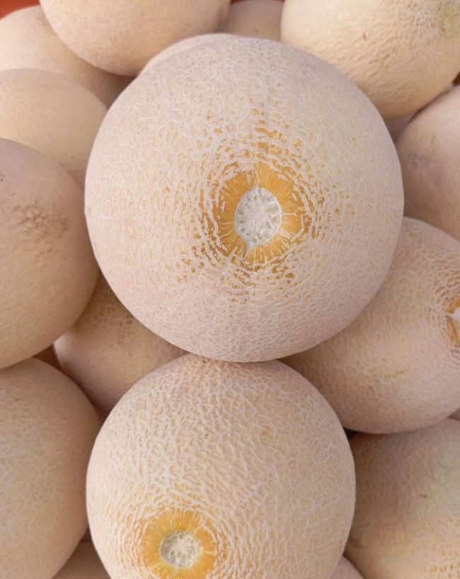 When to avoid muskmelon-1-2-3-4-5-6-7