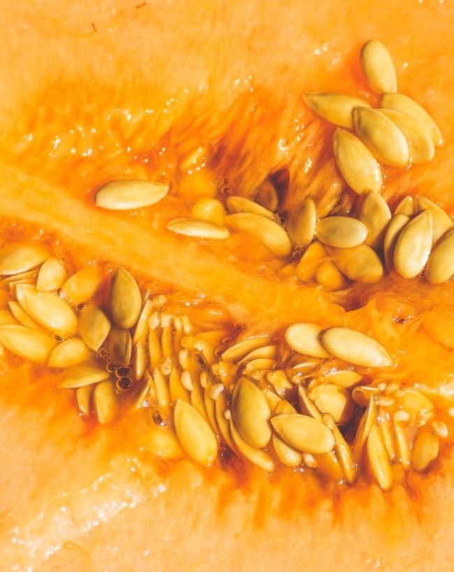 muskmelon seeds benefits-1-2