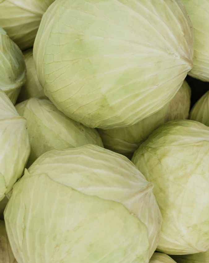 कच्ची पत्तागोभी खाने के नुकसान