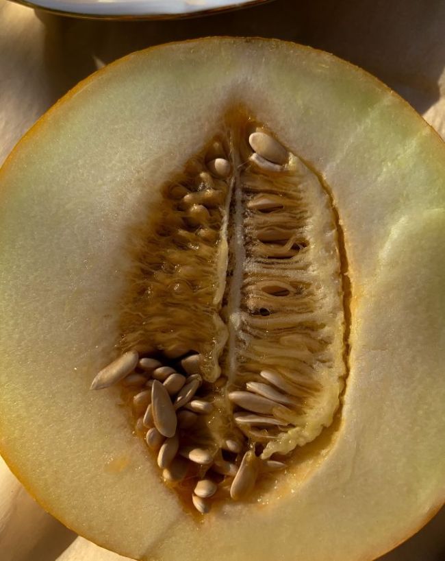 muskmelon seeds benefits-1-2-3
