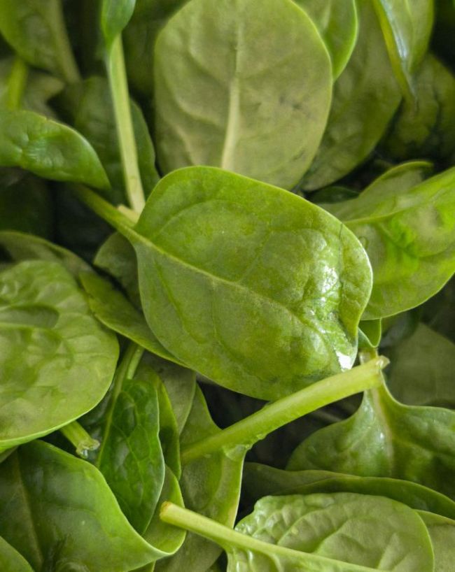 Vegetables You Should Never Eat Raw-1-2-3-4-5-6-7