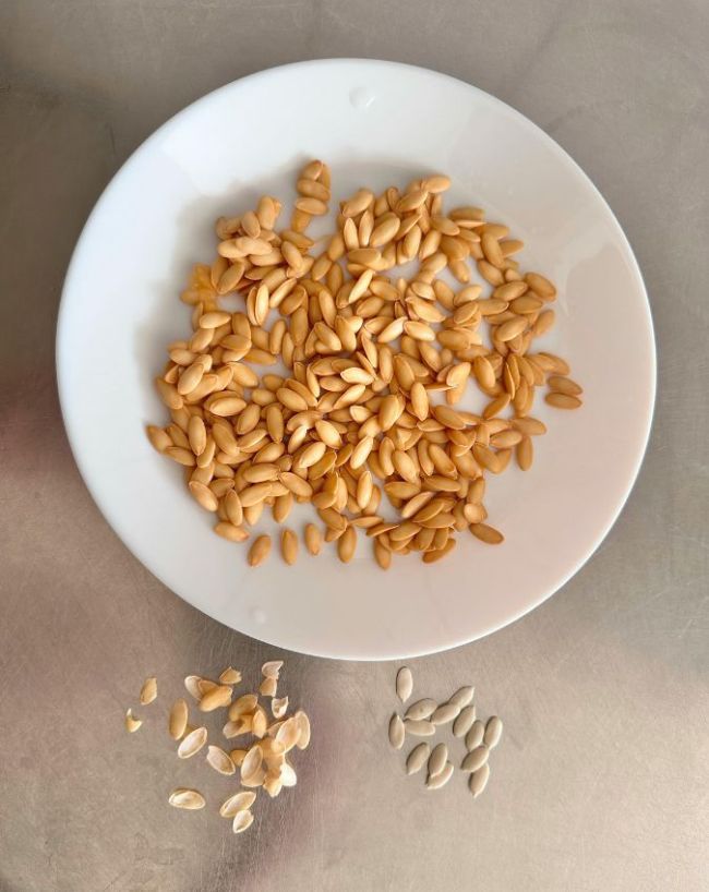 muskmelon seeds benefits-1-2-3-4