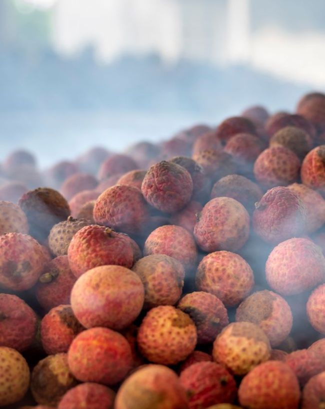how many lychee in a day-1-2-3-4-5-6
