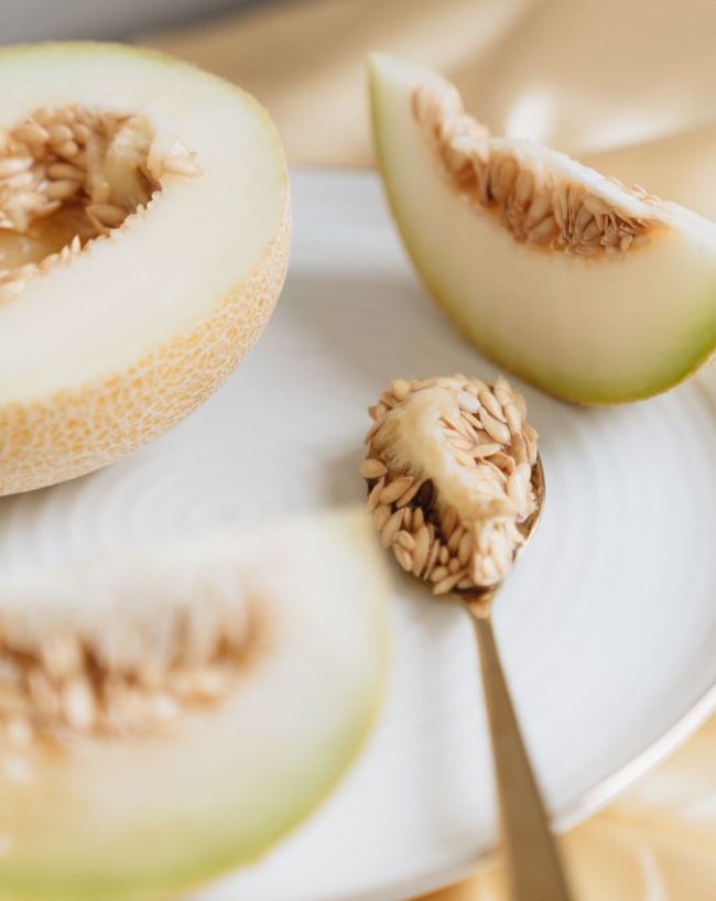 muskmelon seeds benefits-1-2-3-4-5