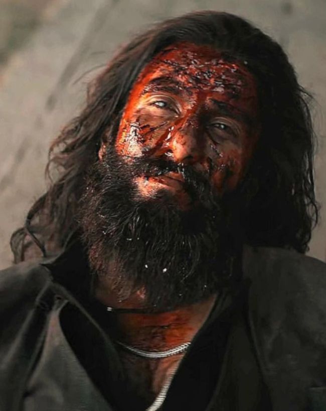 Dhurandhar Franchise Success On OTT-1-2-3-4-5