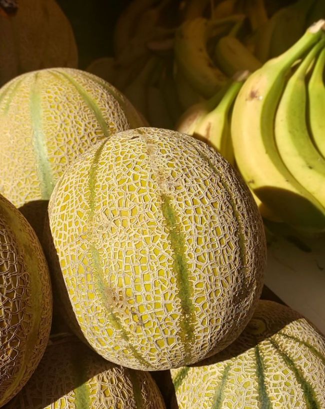 When to avoid muskmelon-1-2-3-4