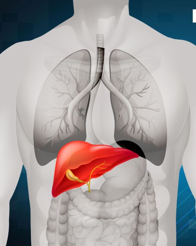kya fatty liver thik ho sakta-1-2-3-4-5-6-7