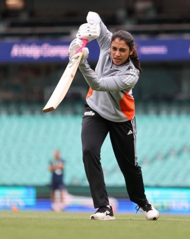 Smriti Mandhana Farmhouse-1-2-3-4-5