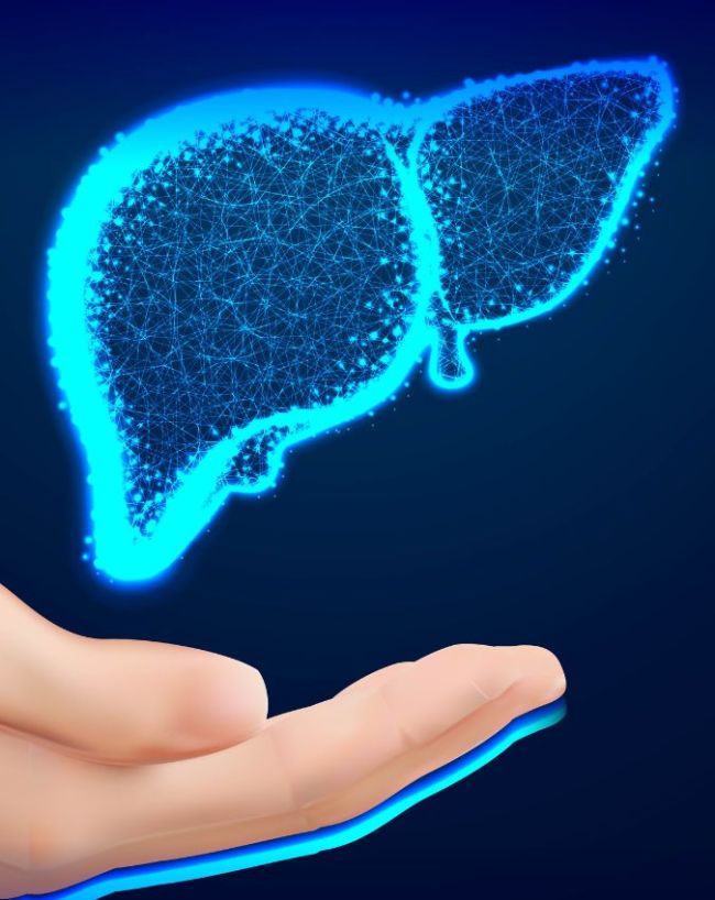 kya fatty liver thik ho sakta-1-2