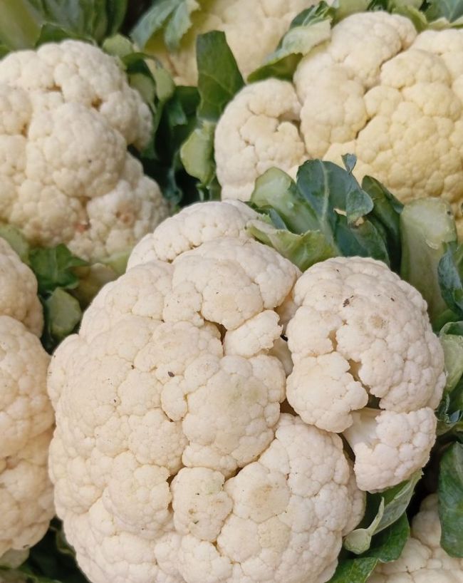 Vegetables You Should Never Eat Raw-1-2-3-4-5