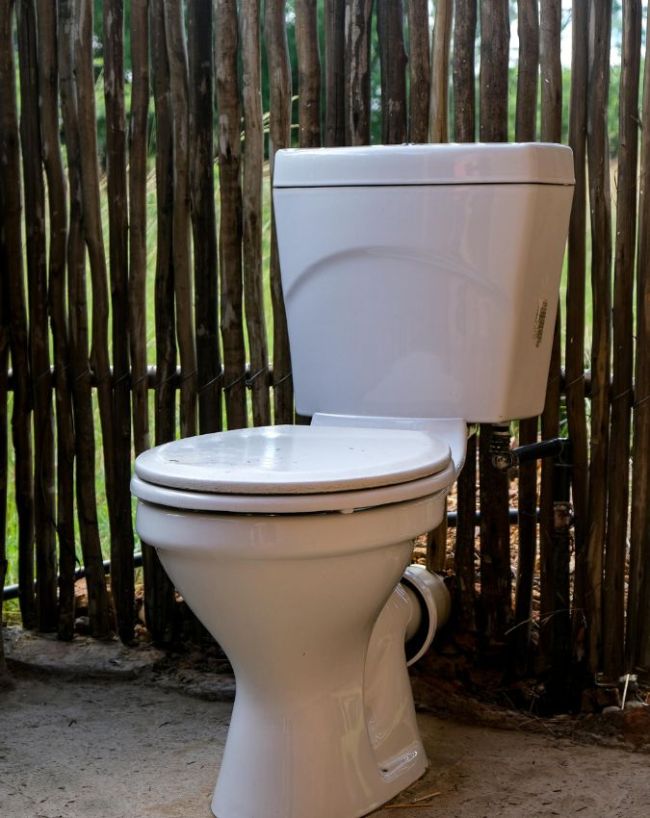 Stool Color Meaning-1-2
