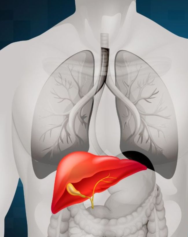 liver disease-1-2-3-4-5