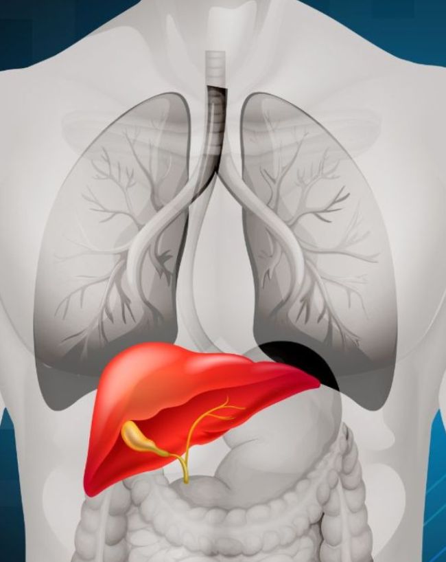 Fatty Liver me Kya Khaye-1-2-3-4-5-6