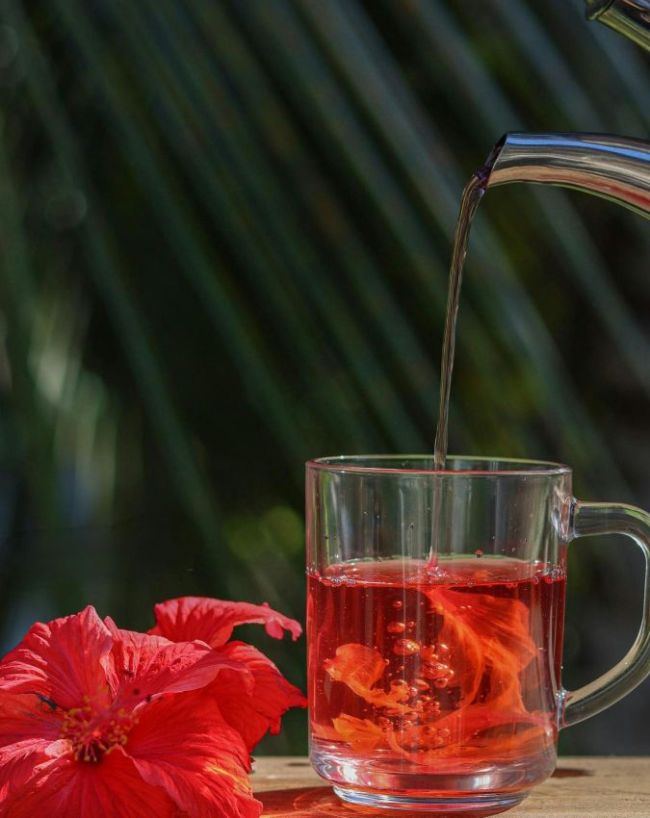Hibiscus Hair Oil For Hair Growth-1-2-3-4-5-6-7