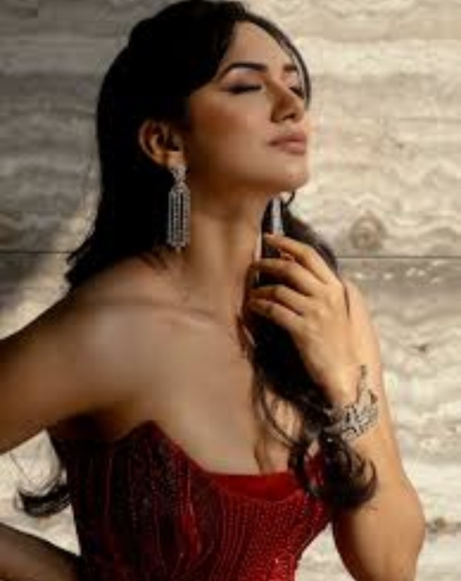 Gaurav Khanna, Akansha Chamola-1-2-3-4