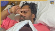 Bosco Martis
