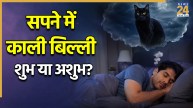 Cat-Dream-Meaning