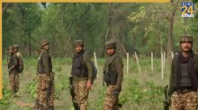 छत्तीसगढ़ के जंगलों में फिर से लौटा जीवन, 550 तस्कर गिरफ्तार; 2500 एकड़ जमीन कराई गई मुक्त