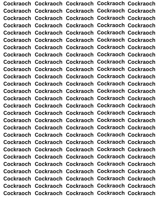 Cockroach-1-2