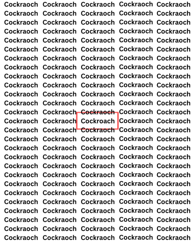 Cockroach-1-2-3-4-5