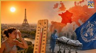 Europe Heatwave, France Heatwave Deaths, Europe Record Temperature, Climate Change, France Public Health Agency