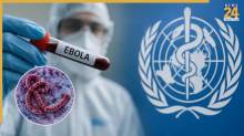 ebola virus vaccine