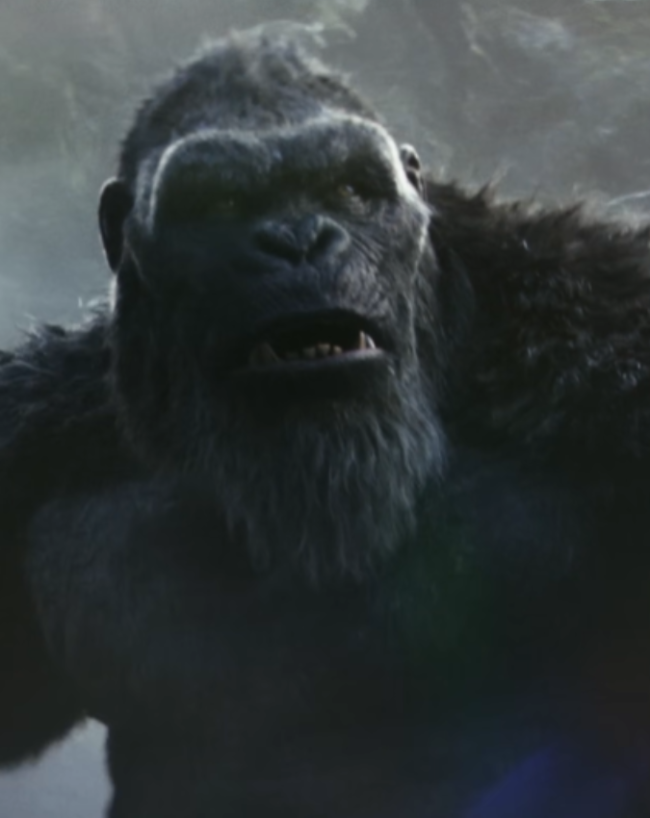 Godzilla x Kong The New Empire-1-2-3-4