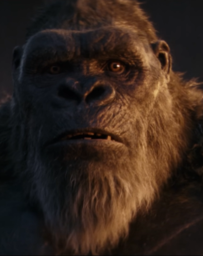 Godzilla x Kong The New Empire-1-2